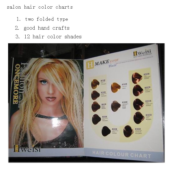 12 shades hair color book